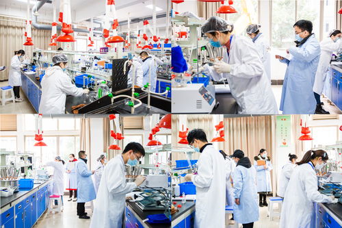 2022年省職業院校技能大賽高職生物與化工類化學實驗技術項目在我校圓滿舉行，聚焦生物化工產品技術研發