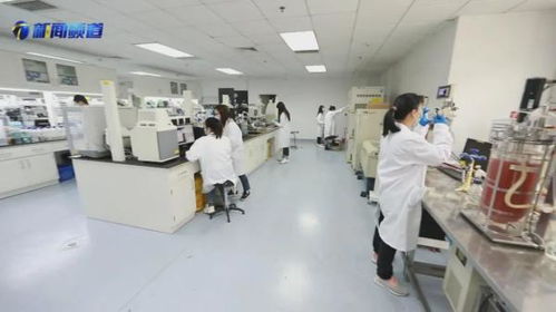 十項行動見行見效，京津冀協同發展走深走實——國家合成生物技術創新中心助力生物化工產業升級