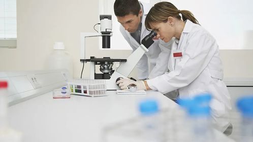 化學、化工與生物化工專業就業前景分析