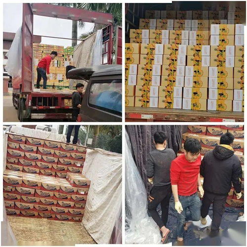 同舟共冀，共同戰“疫”——河北博泉集團捐贈32噸澄邁農產品支援抗疫一線